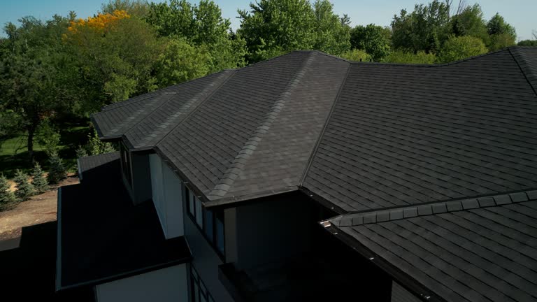 Best Asphalt Shingles Roofing  in Potosi, MO